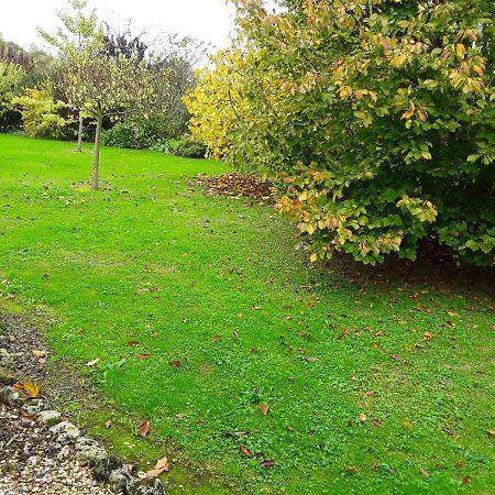 Chambre D'Hotes Cote Jardin Soulignonne Экстерьер фото